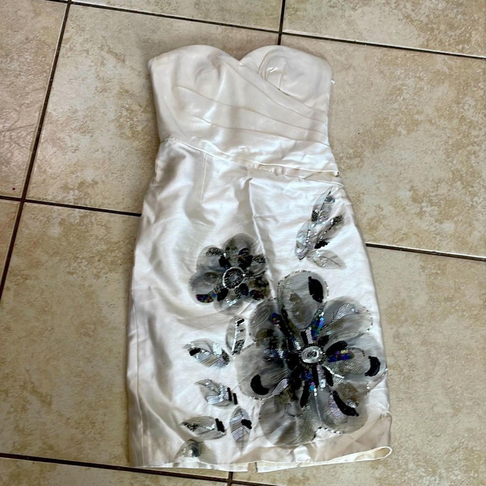 Badgley unaltered strapless dress